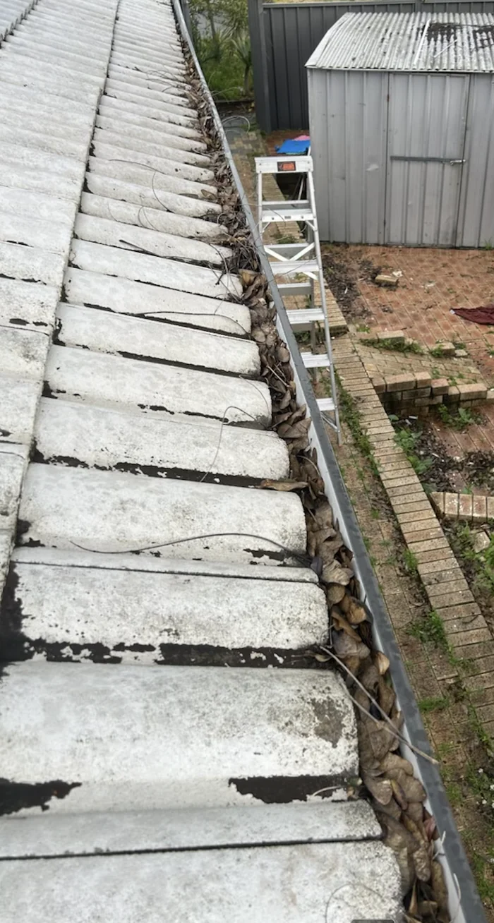 Gutter packed with leaves and debris before cleaning
